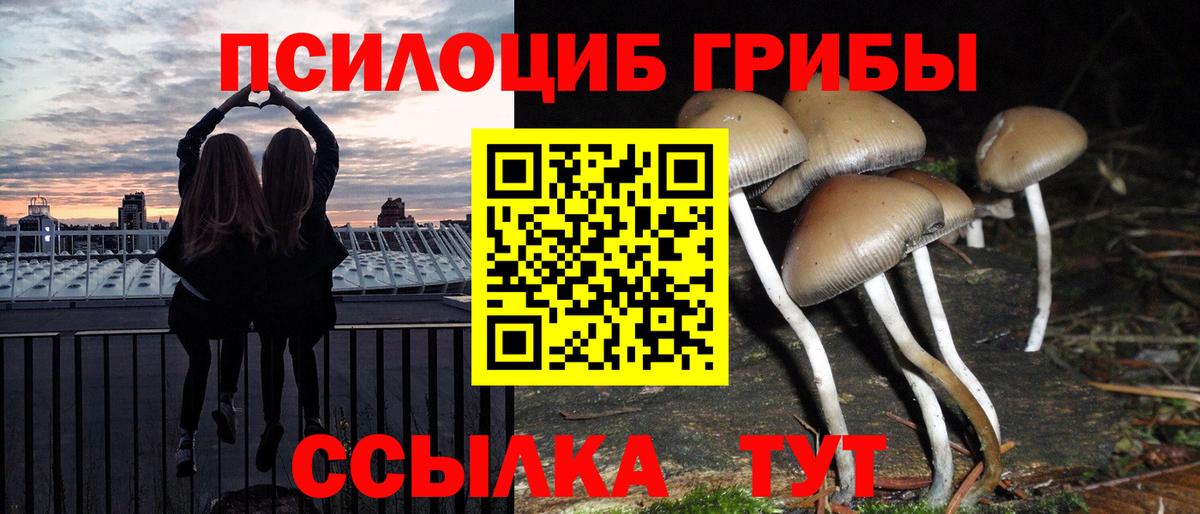 Псилоцибиновые грибы Psilocybe  Вход с VPN  наркота  Вышний Волочёк 