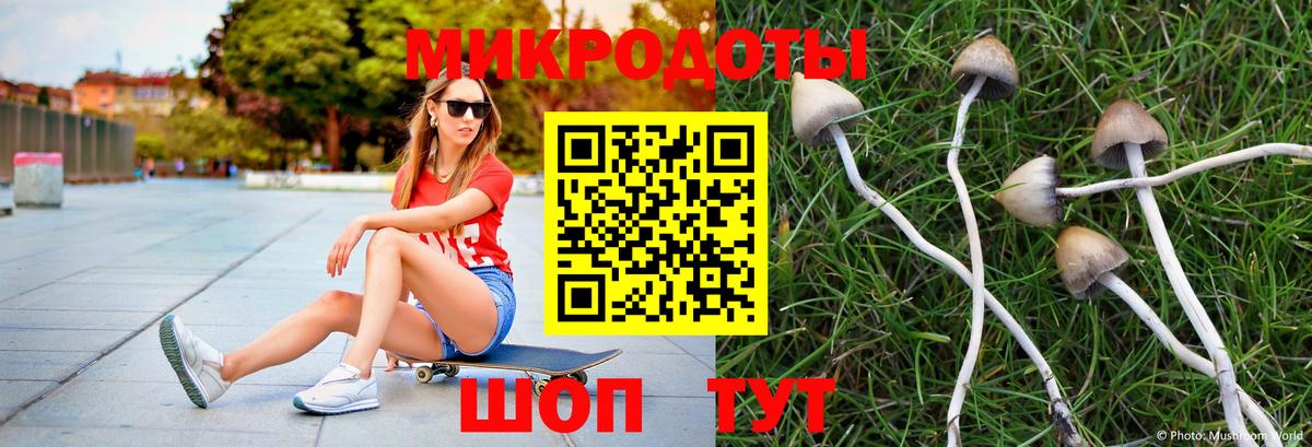 Псилоцибиновые грибы мицелий Вышний Волочёк